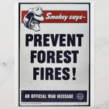 Smokey Says -Prevent Forest Fires! Personalized Flyer