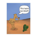 Smoking camel postcards