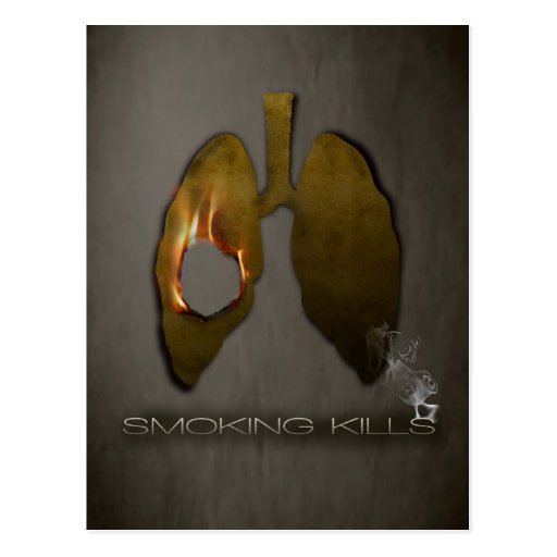 Smoking Kills Lungs Postcard Zazzle