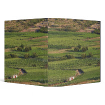Smokvica vineyards on Korcula from the Toreta Binder