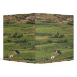 Smokvica vineyards on Korcula from the Toreta binders