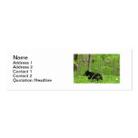 Smoky Bear Business Card Template