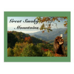 Smoky Mountain Black  Bear Post Cards