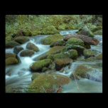 Smoky Mountain Stream (HDR) posters