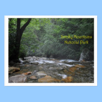 Smoky Mountain Stream postcards