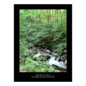 Smoky Mountain Stream Poster posters