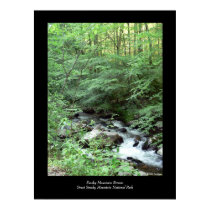 Smoky Mountain Stream Poster posters