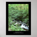 Smoky Mountain Stream Poster posters