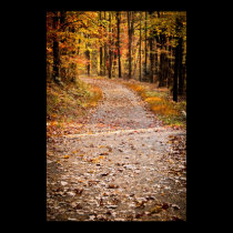 Smoky Mountain Trail Print posters