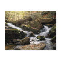 Smoky Mountain Waterfall II Post Card