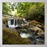 Smoky Mountain Waterfall Print