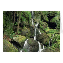 Smoky Mountains, Tennessee Card