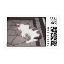 Smoky postage