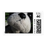 Smooch Puppy Stamp stamps