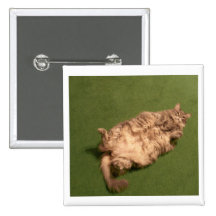 Smoochie Girl's Daily Kitty Yoga Pin