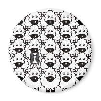 Smooth-Coated Border Collie in the Sheep magnets