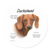 Smooth Dachshund Meet the Breed - Customized stickers by GreyWolfCreation Smooth Dachshund Meet the Breed - Customized stickers