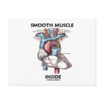 Smooth Muscle Inside (Gray's Anatomy Heart) Post Card