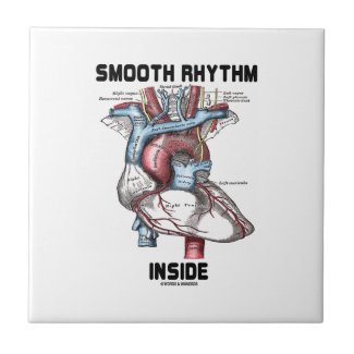 Smooth Rhythm Inside (Medical Anatomical Heart) Tiles