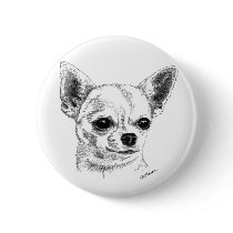 Smoothcoat chihuahua buttons
