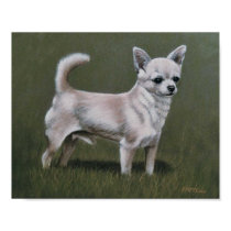 Smoothcoat Chihuahua Champion posters