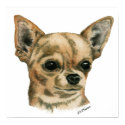 Smoothcoat Chihuahua Champion posters