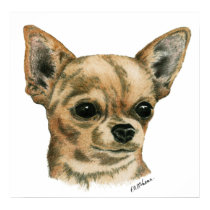 Smoothcoat Chihuahua Champion posters