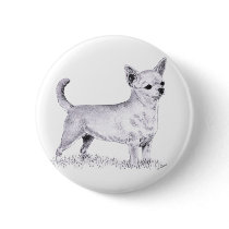 Smoothcoat chihuahua - standing buttons