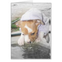 Smuckers In Jacket cards