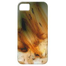 Smudge iPhone 5 Cases