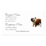 Smug Bulldog Business Cards