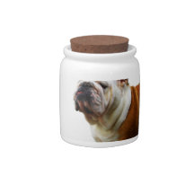 Smug Bulldog Candy Jar