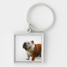 Smug Bulldog Keychain