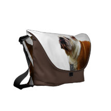 Smug Bulldog Messenger Bag