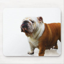 Smug Bulldog Mouse Pad