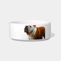 Smug Bulldog Pet Bowl Cat Food Bowls
