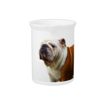 Smug Bulldog Pitcher