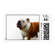 Smug Bulldog Postage Stamp
