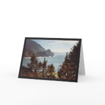 Smugglers Cove cards