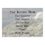 Smuggler's Cove Shoreline Business Card Templates