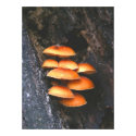 Smurf's Hats posters by Glaucidium Smurf's Hats posters