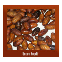 Snack Food? posters