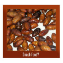 Snack Food? posters