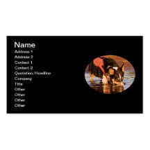 Snack Rescue Business Card