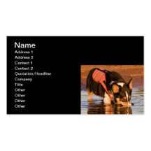 Snack Rescue Business Card