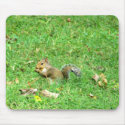 Snack Time For a Squirrel Mouse Pad