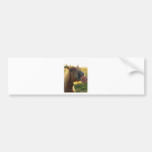 Snacking Bumper Stickers