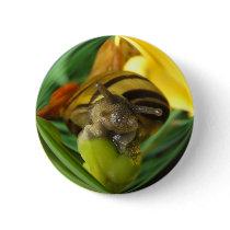 Snail 186 ~ button by Andy2302 Snail 186 ~ button