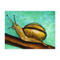 Snail 1 Postcard by Stuwahacreations Snail 1 Postcard