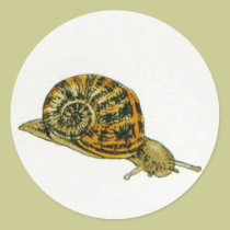 Snail (1) stickers